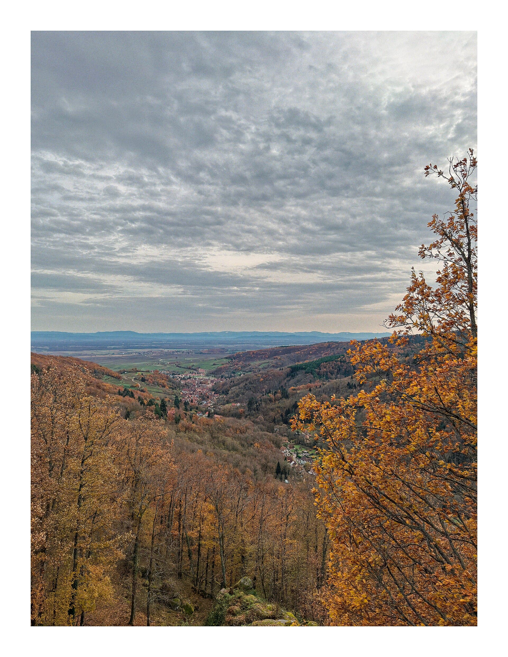 Château d'Andlau (Andlau) Château d'Andlau — château à Andlau, Bas-Rhin, classé mh