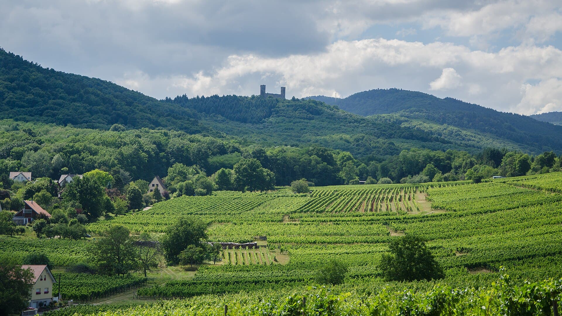 Château d'Andlau (Andlau) Château d'Andlau — château à Andlau, Bas-Rhin, intérieur, classé mh