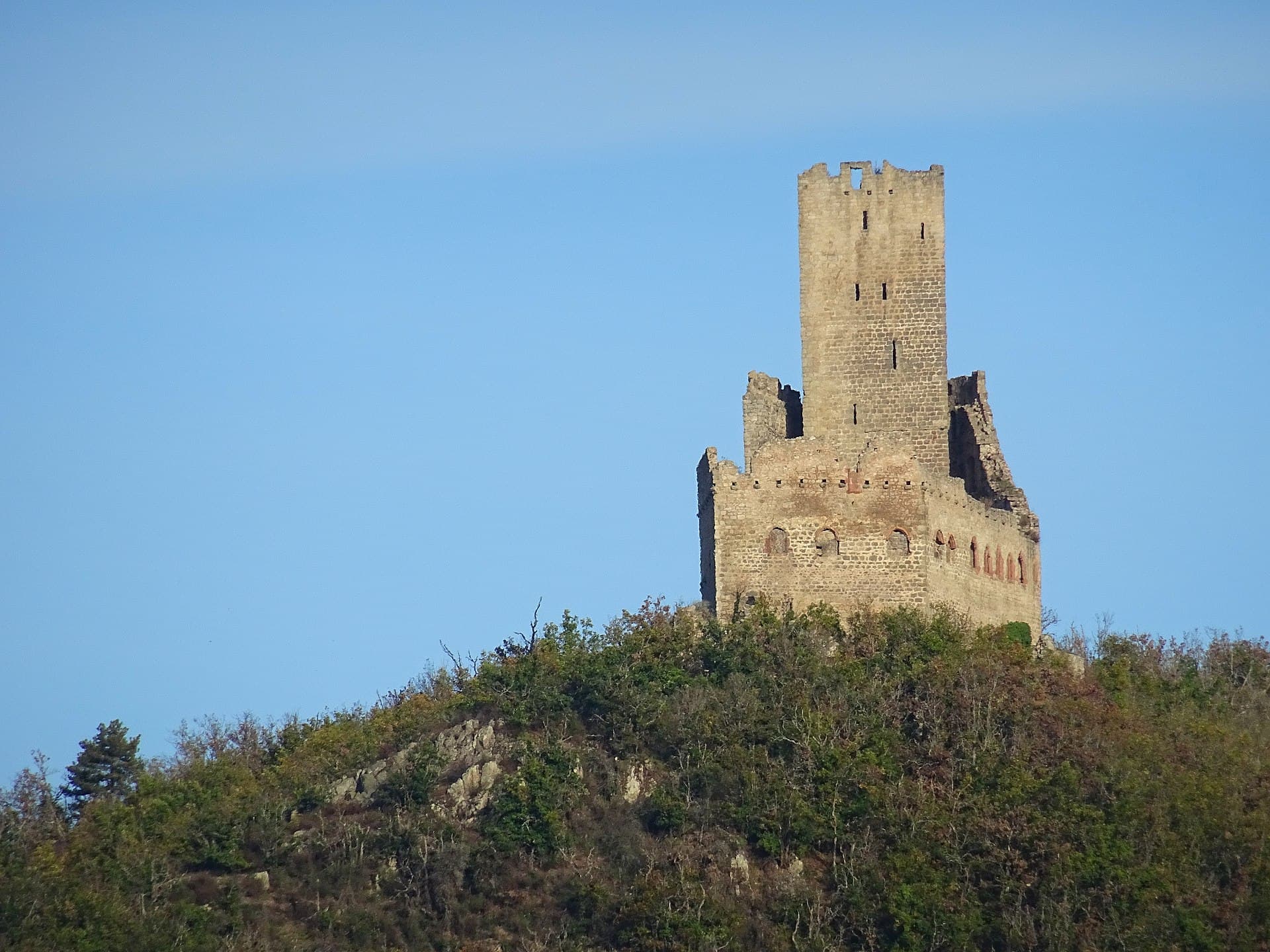 Château d'Ortenbourg (Scherwiller) Château d'Ortenbourg — château à Scherwiller, Bas-Rhin, façade, classé mh