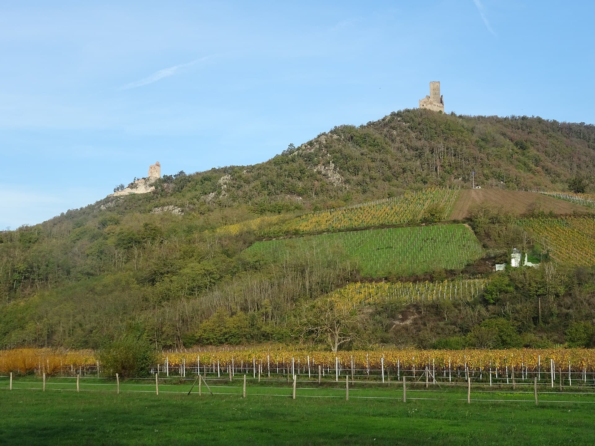 Château d'Ortenbourg (Scherwiller) Château d'Ortenbourg — château à Scherwiller, Bas-Rhin, vue de nuit, classé mh
